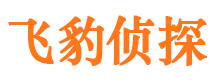 白山侦探公司